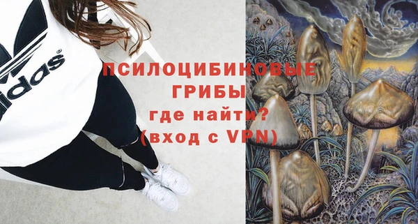 кокс Елизово