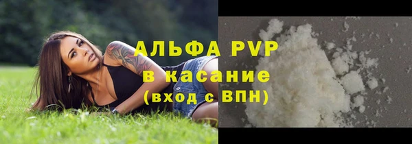 кокс Елизово
