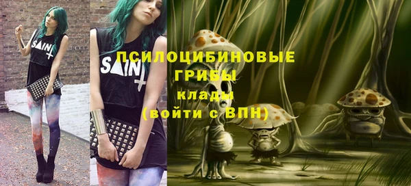 кокс Елизово