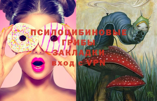 спиды Елабуга